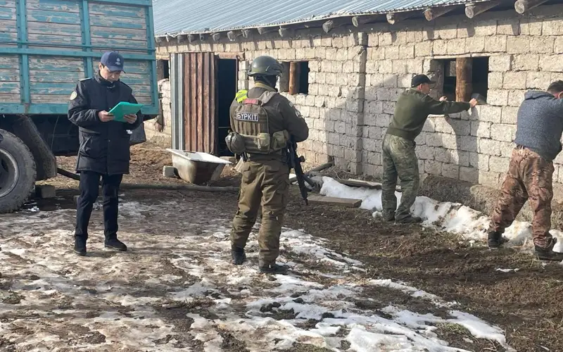 Туннель в 450 метров обнаружили под казахстанско-узбекской границей