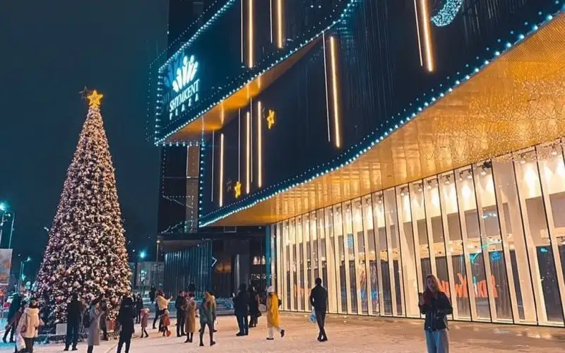 Синоптики рассказали о погоде в Шымкенте и Туркестанской области в новогоднюю ночь