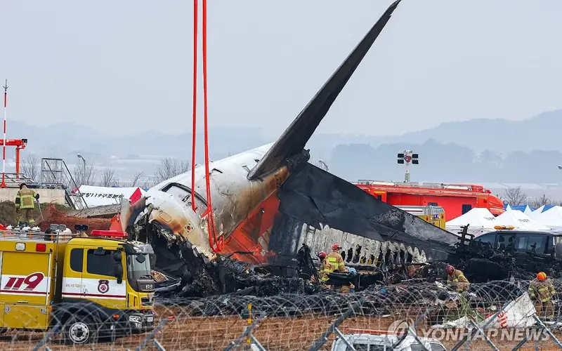 Air crash deaths surge in 2024: German aviation association