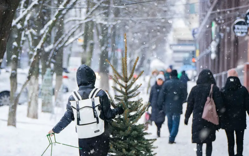 новый год, люди