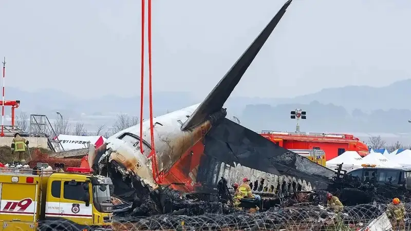 Жанубий Кореяда ҳалокатга учраган самолётнинг “қора қутиси”дан маълумотлар олинди