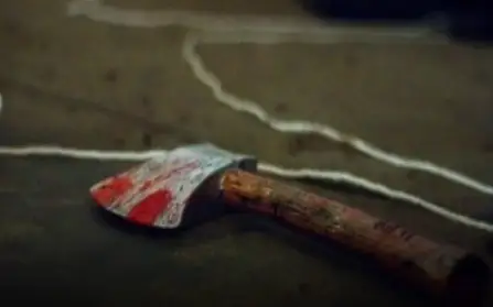 Расчлененное тело женщины нашли в мусорном контейнере в Алматы