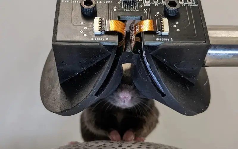Ученые изучают мозг с помощью VR-очков для мышей