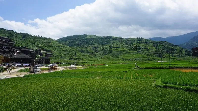 Сицзан Қытай