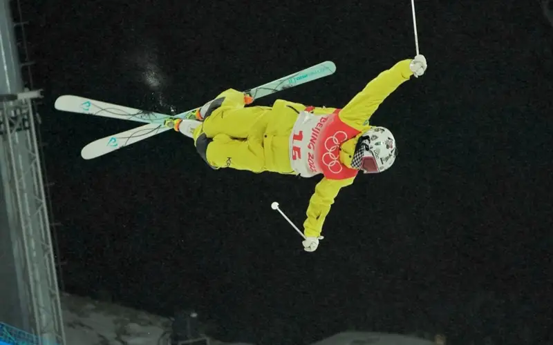 фристайл могул 