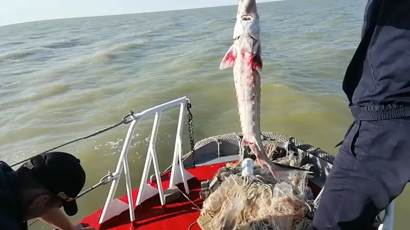 Шекарышылар беікрені құтқарды