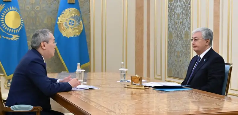 Глава государства принял председателя Агентства по финансовому мониторингу Жаната Элиманова