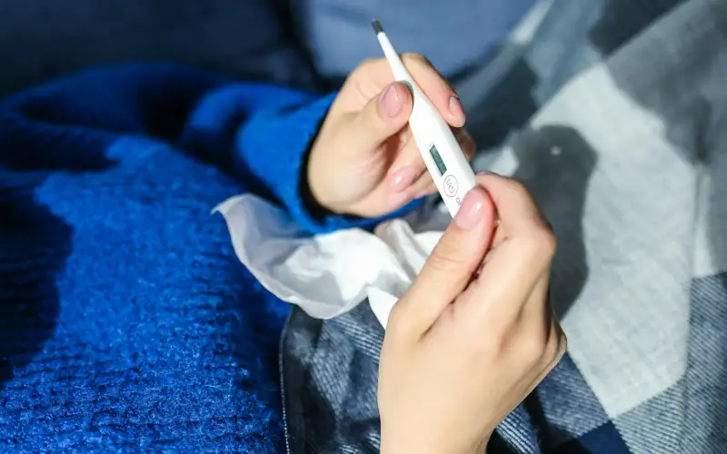 Риск заражения птичьим гриппом остается низким — ВОЗ