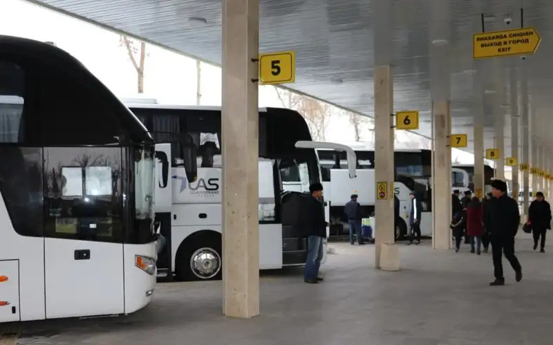 Узбекистан планирует запустить новые автобусные рейсы в Казахстан, Китай и другие страны