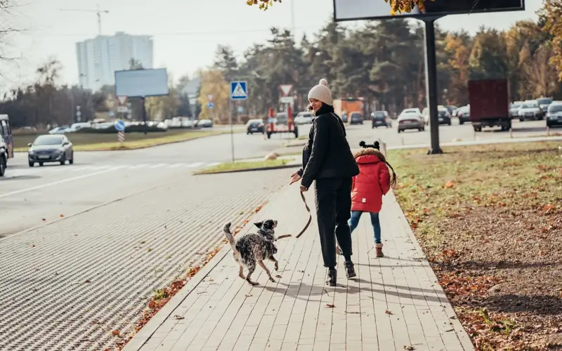 пешеходы, прогулка