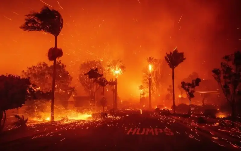 Will insurance cover damage from wildfires in the US