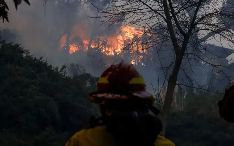 Will insurance cover damage from wildfires in the US