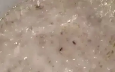 Насекомые были обнаружены в каше в детском саду Актобе