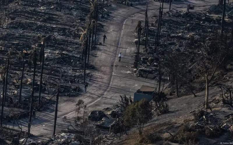 Will insurance cover damage from wildfires in the US