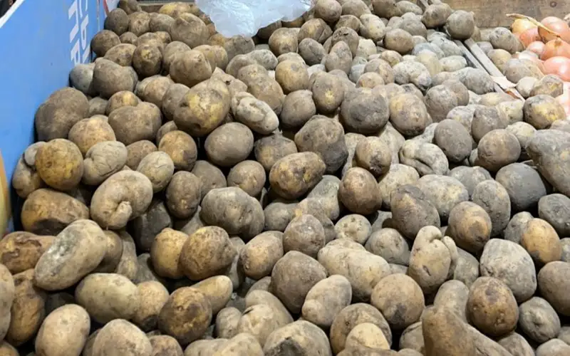 Ақтөбеде картоп бағасы бірден 100 теңгеге қымбаттап кетті