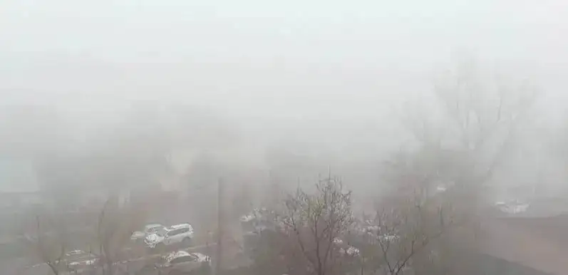 Fog