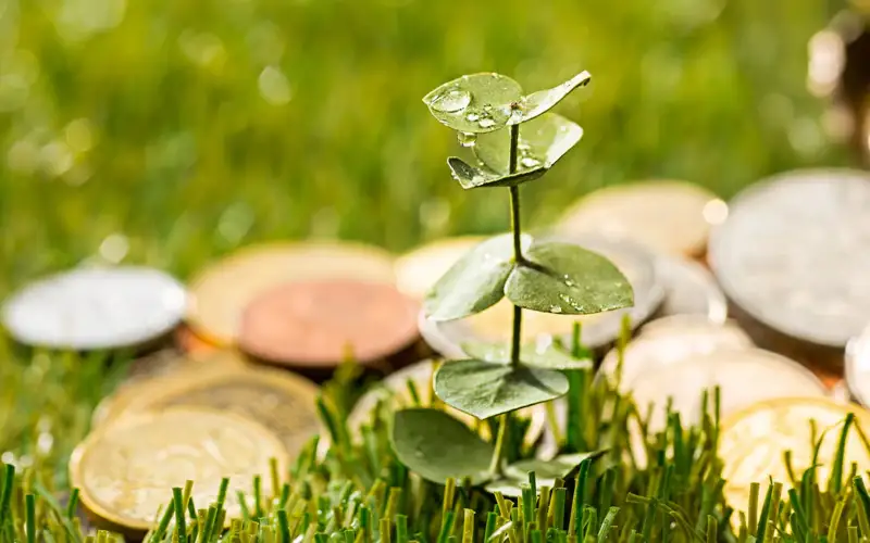 India expects fivefold growth in green investments by 2030