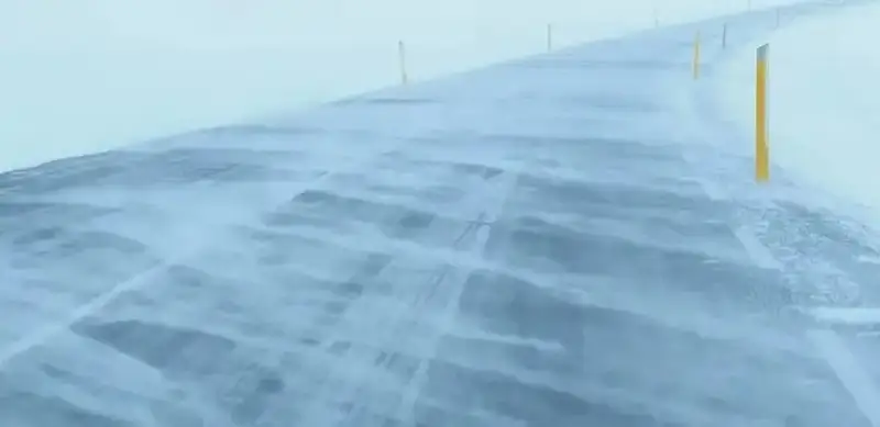 Blizzard