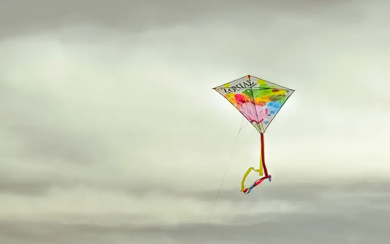 15 человек погибли в результате запуска воздушных змеев в Индии