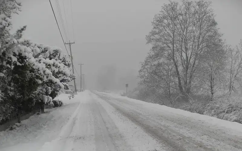 weather