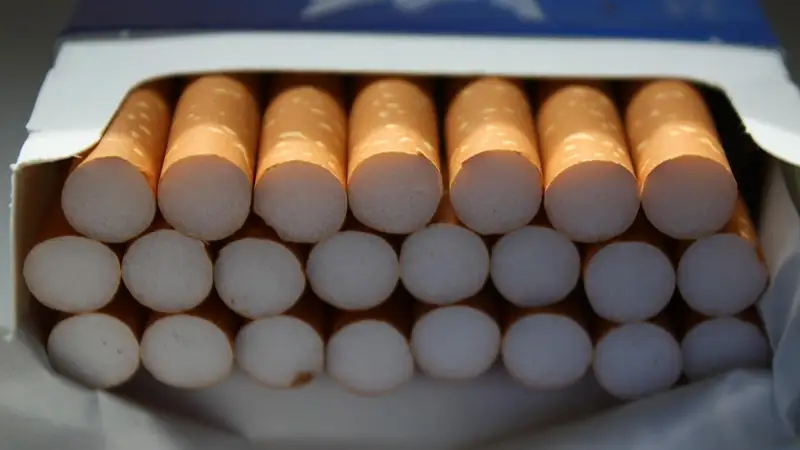1-in-5 adults still addicted to tobacco, WHO says