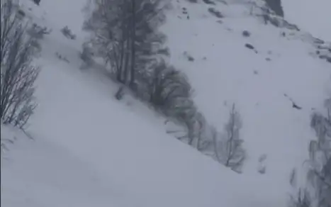 лавина в ВКО
