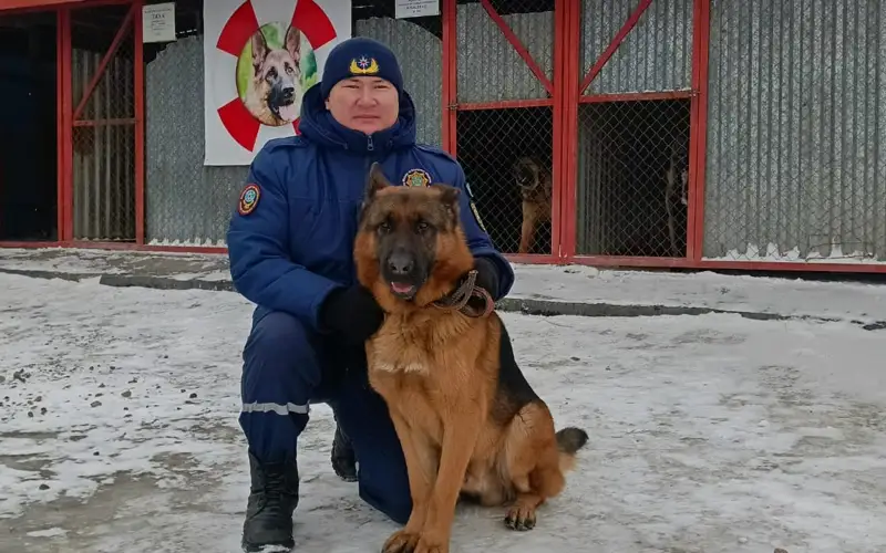 Азамат Ильясов с собакой-спасателем