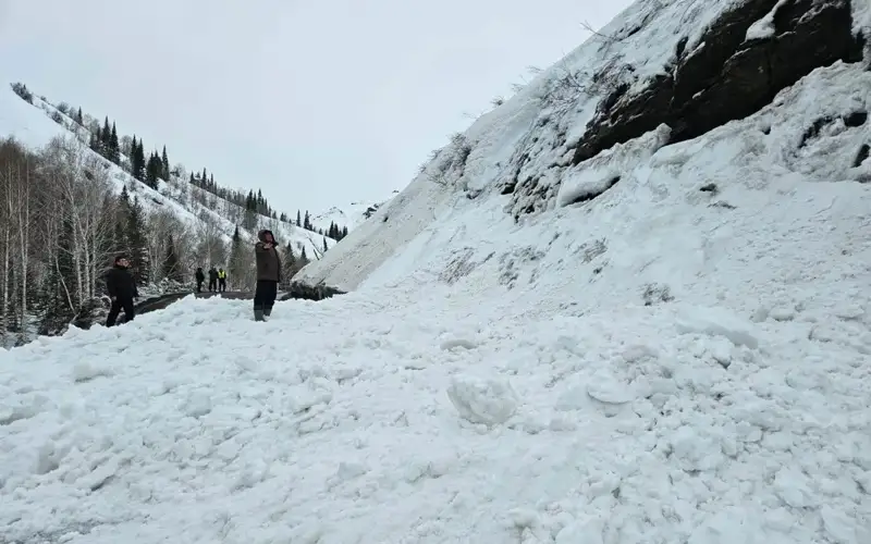 Фото: ШҚО ТЖД 