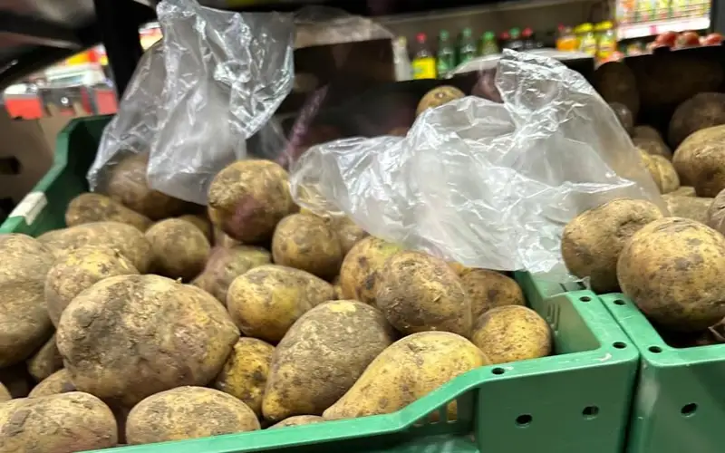 Павлодарға қымбат картоп қайдан келді