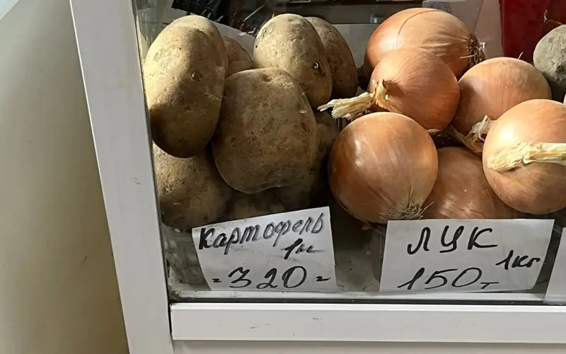 картофель в Павлодаре