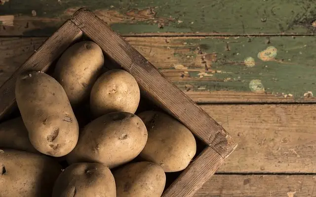 Узбекистан намерен отказаться от импорта картофеля с 2027 года