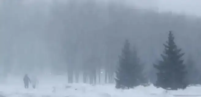 Fog