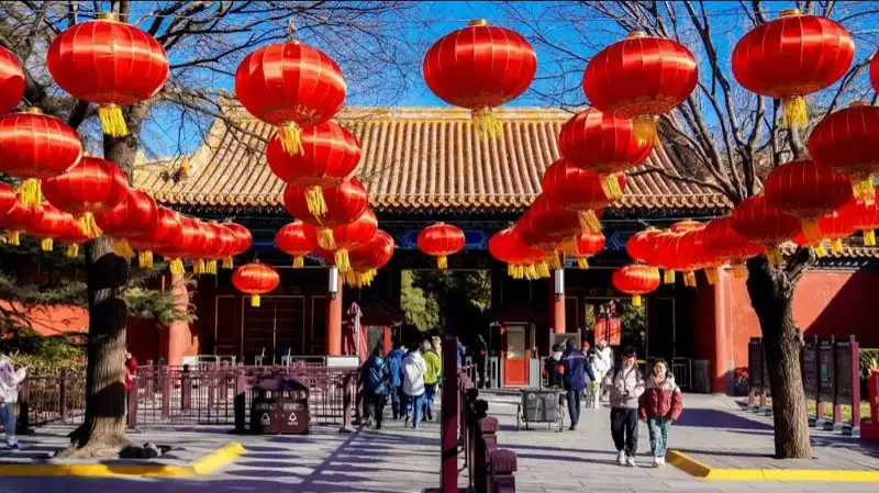 Celebrations of Chinese New Year and a welcome to 2025’s Snake