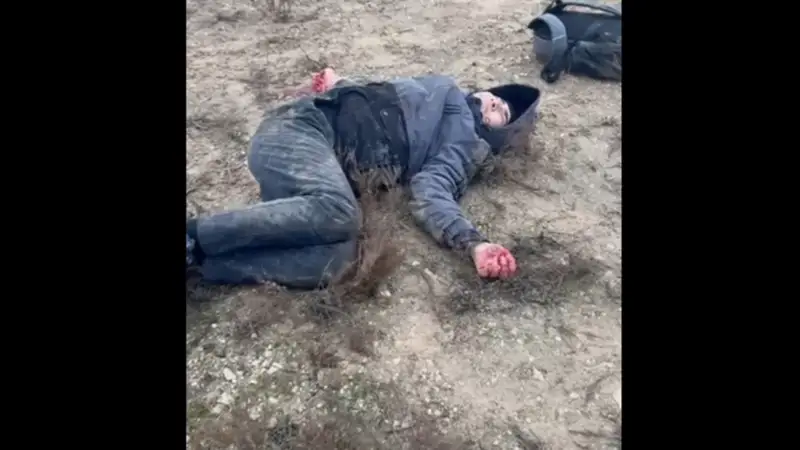 Оқушыны ит талап тастады