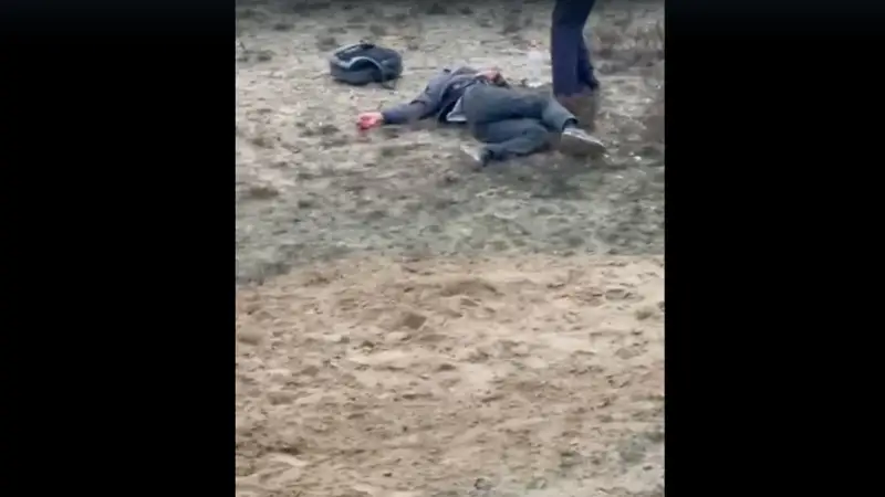 Оқушыны ит талап тастады