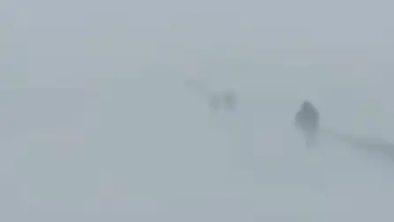 Карагандинской области 