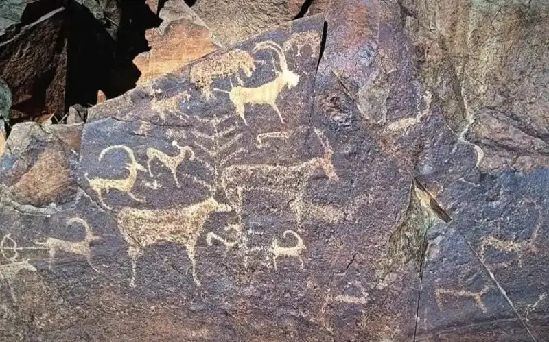 Stories on stone: The petroglyphs of Kazakhstan