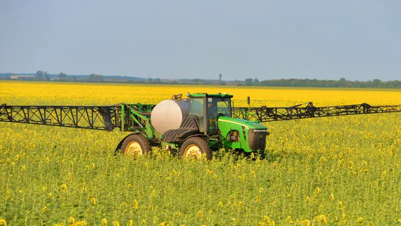 АПК сельхоз техника подсолнух поле АӨК ауыл шаруашылығы машиналары күнбағыс  өріс