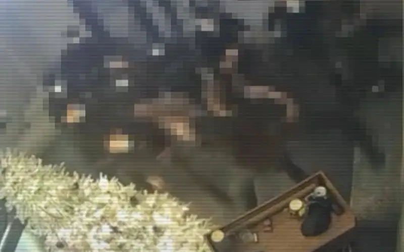 ОПГ при охранном агентстве оказывала давление на предпринимателей в Алматы