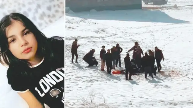 Бродячие собаки загрызли до смерти ребенка в Турции