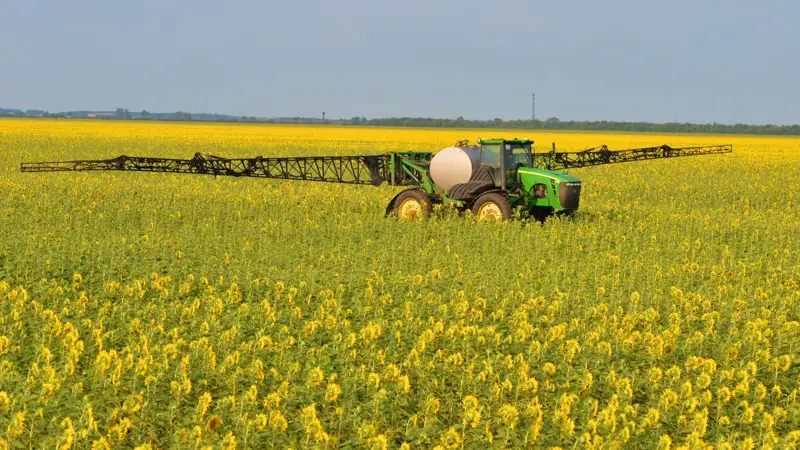 АПК сельхоз техника подсолнух поле АӨК ауыл шаруашылығы машиналары күнбағыс  өріс