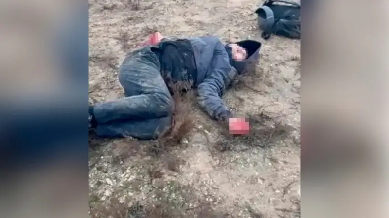 Oqýshyny ıt talap tastady