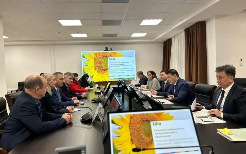 Француздық lidea компаниясы