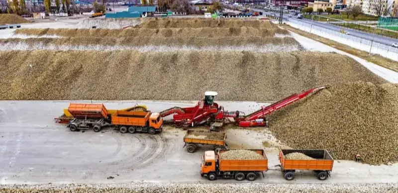 Атирауда хитойлик инвестор маблағлари ҳисобидан шакар заводи қурилиши мумкин