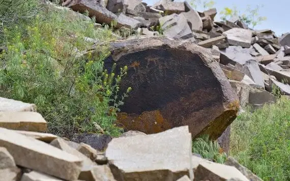 Артықшылықтары бар достар (Герои)