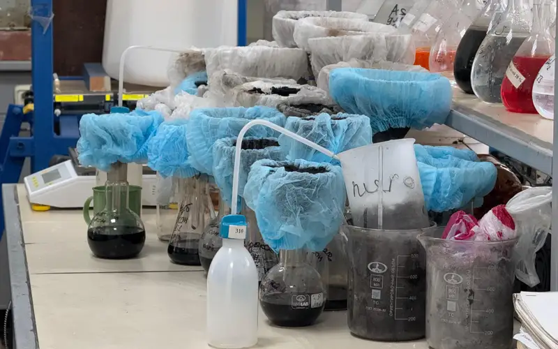 Көмір химиясына қашан көңіл бөлінеді? 