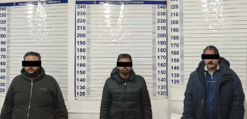 Незаконную миграцию организовали иностранцы в Кыргызстане