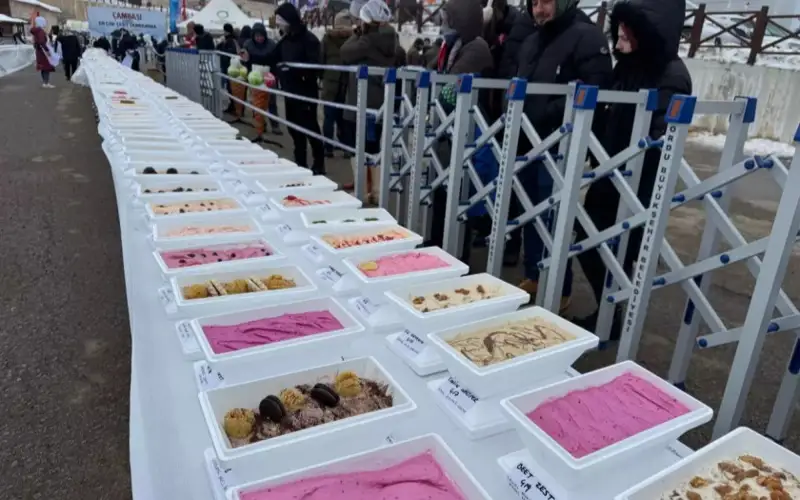 1301 вид мороженого: в Турции установили мировой рекорд