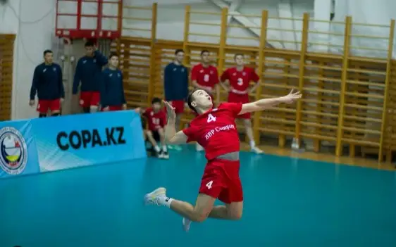 Voleıbol