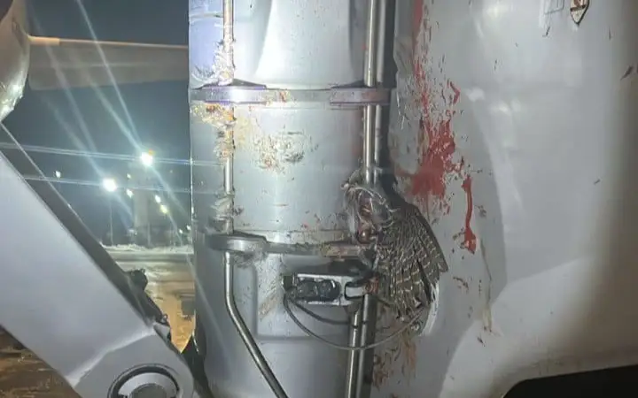 самолет столкнулся со стаей птиц в Уральске 